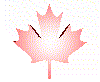 Canada~2.gif (24645 bytes)