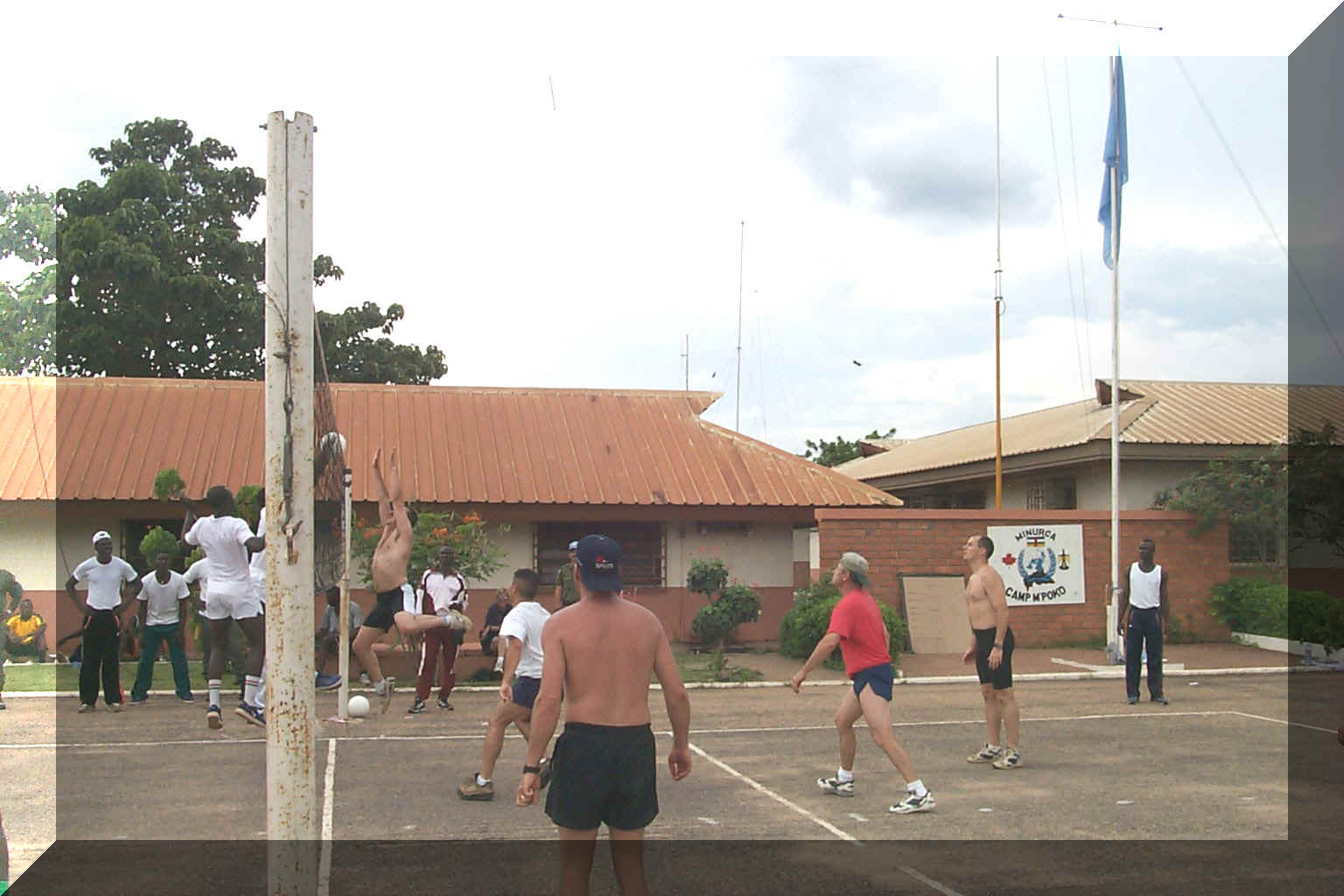 Volley~1.jpg (350066 bytes)
